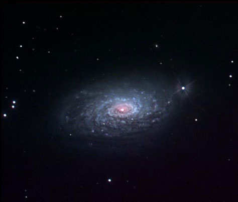 Спиральная галактика NGC 5055
