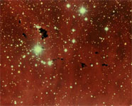 Группа глобул Бока на фоне IC 2944
